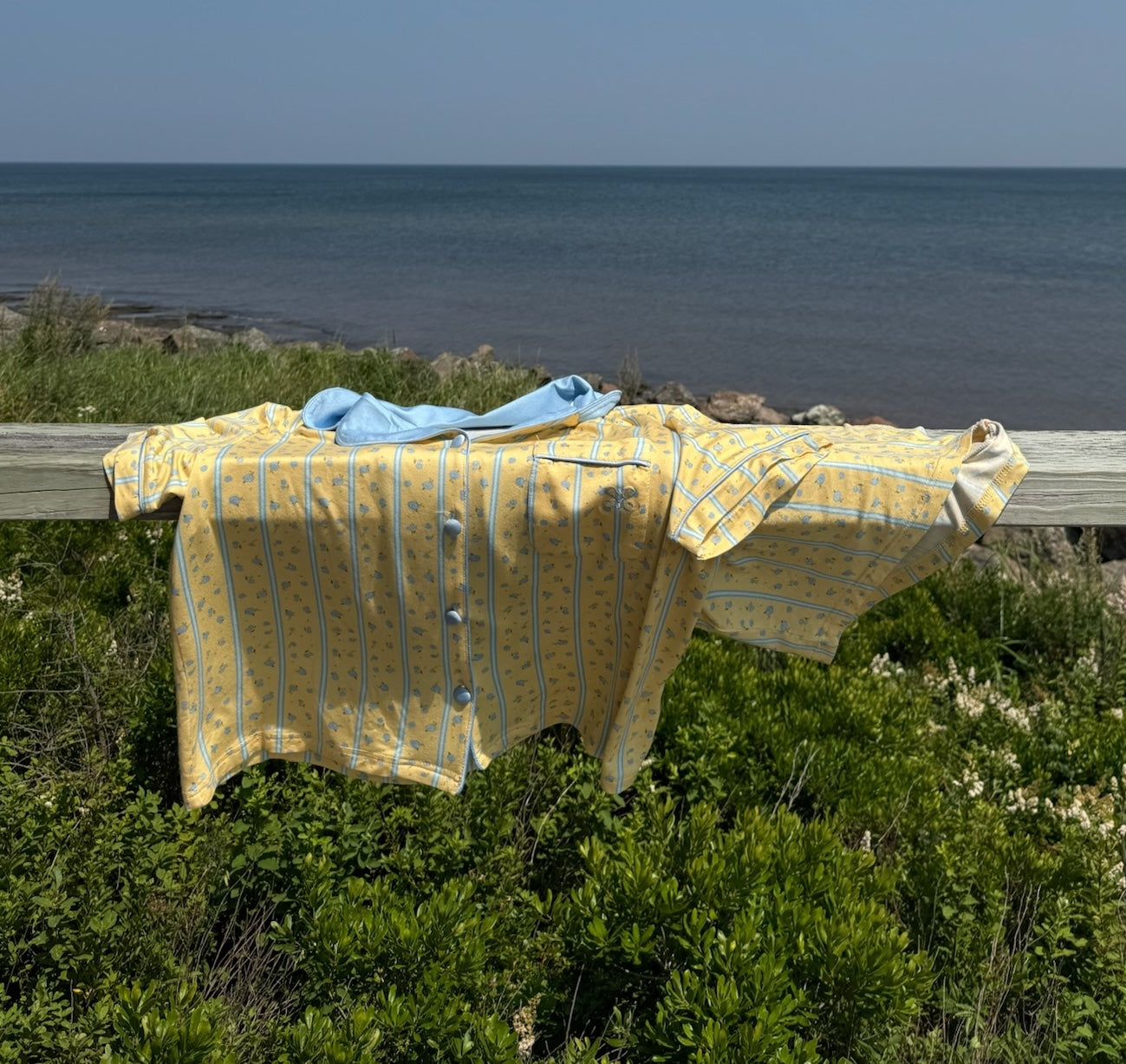 The Summer Collection