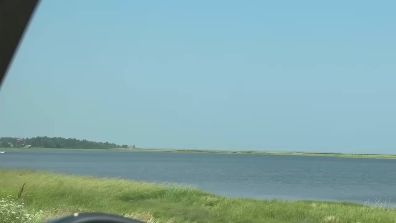Load video: 